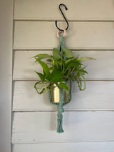 Load image into Gallery viewer, Gold Standard Plant Hanger