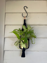 Load image into Gallery viewer, Gold Standard Plant Hanger