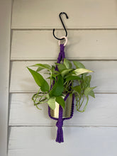 Load image into Gallery viewer, Gold Standard Plant Hanger