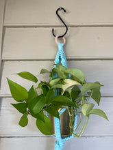 Load image into Gallery viewer, Gold Standard Plant Hanger