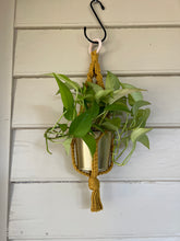 Load image into Gallery viewer, Gold Standard Plant Hanger
