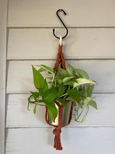 Load image into Gallery viewer, Gold Standard Plant Hanger

