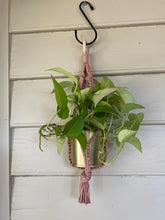 Load image into Gallery viewer, Gold Standard Plant Hanger
