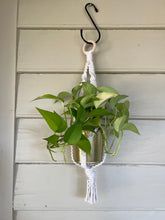 Load image into Gallery viewer, Gold Standard Plant Hanger

