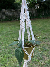 Load image into Gallery viewer, In Person Plant Hanger Workshop @ Tradition Brewing 1/18/2026
