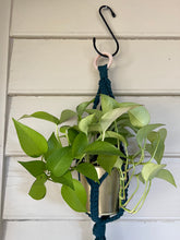 Load image into Gallery viewer, Gold Standard Plant Hanger
