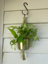 Load image into Gallery viewer, Gold Standard Plant Hanger
