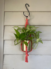 Load image into Gallery viewer, Gold Standard Plant Hanger
