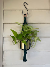Load image into Gallery viewer, Gold Standard Plant Hanger
