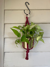Load image into Gallery viewer, Gold Standard Plant Hanger
